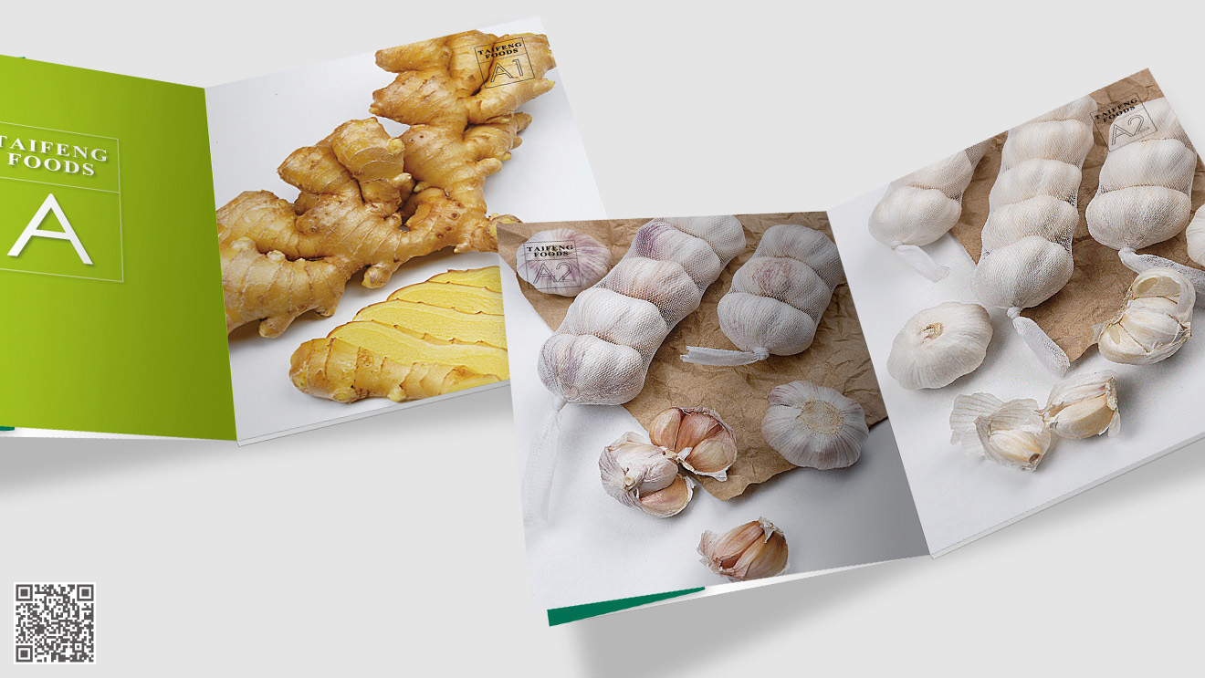 泰豐食品畫冊設(shè)計(jì)