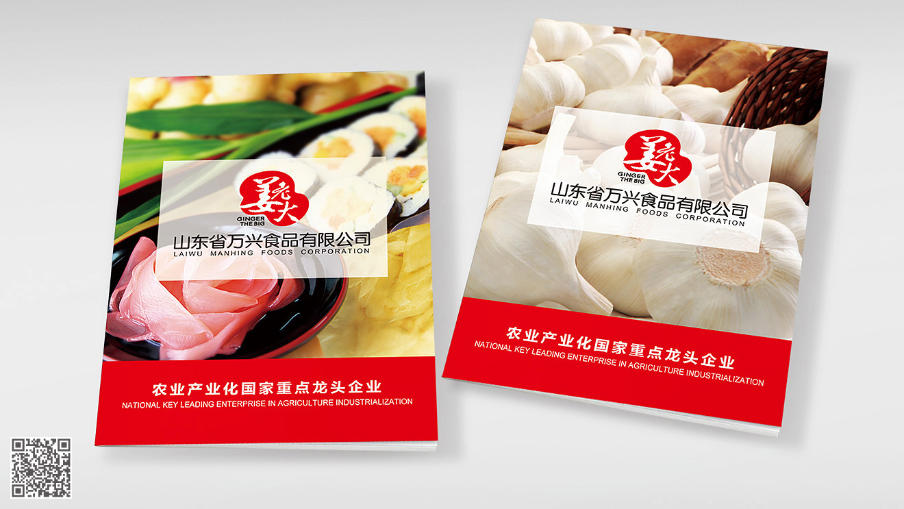 山東姜老大產(chǎn)品畫冊(cè)設(shè)計(jì)印刷