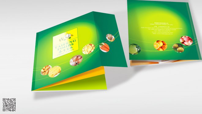 2018-2019年最新企業(yè)畫冊設(shè)計標準