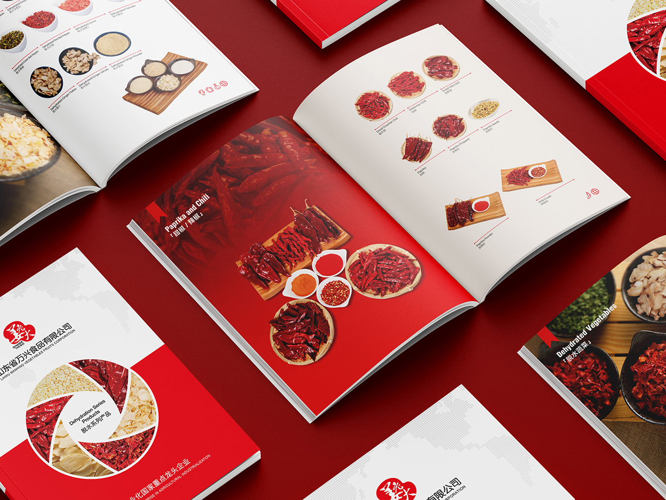 山東萬(wàn)興食品（姜老大）畫(huà)冊(cè)