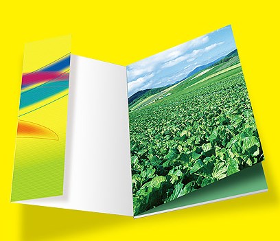 怎樣使公司的畫冊設(shè)計更吸引人呢？